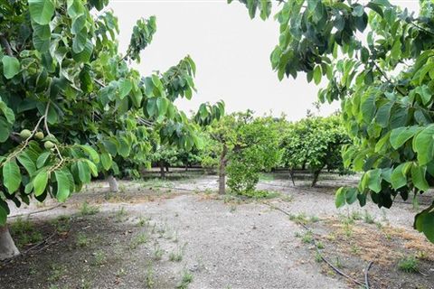 Finca i Motril, Granada, Motril - € 268.000 | Ref: 246 - foto 10